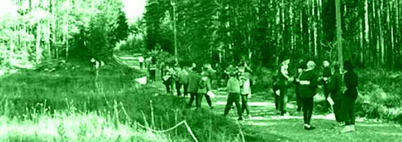 Picture: Forest track
